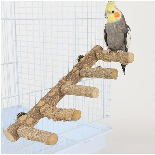 Epigasos Natural Bird Perch Pepper Tree 1.5~2.5*15cm Stainless Supports