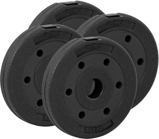 Set of Plates 4 x 1.25kg Ø31mm