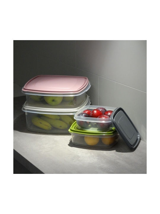 Viomes Lunchbox Kunststoff Rosa Geeignet für die Mikrowelle 3200ml 1Stück