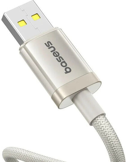 Baseus Titanium Power Datenkabel Smartphone Usb zu Usb Typ-C 100w Geflochtenes 2m Gelbe Stamp 0.18 Lei 6932172669614