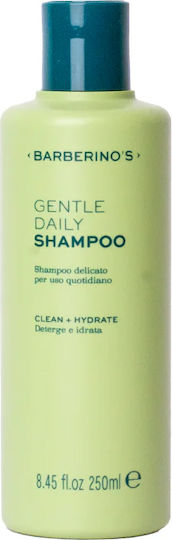 Barberino's Σαμπουάν 250ml
