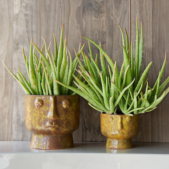 Am.Pm Plant Pot Ceramic Yellow Am.Pm Plant Pot Ceramic Yellow