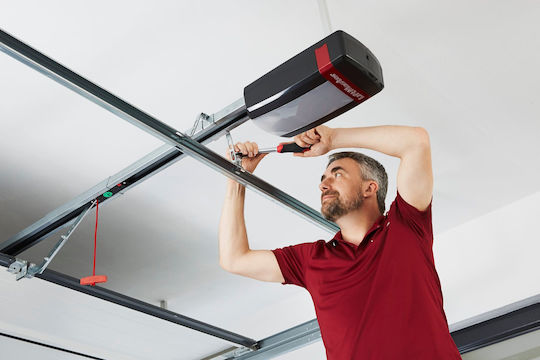 Liftmaster Set Motor până la 200kg