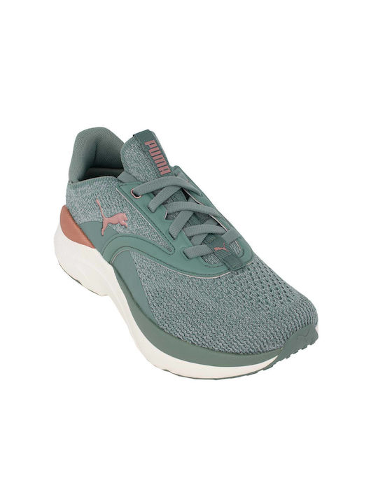 PUMA