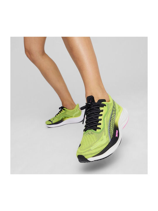 Velocity Nitro 3 Femei Pantofi sport Alergare Galbene