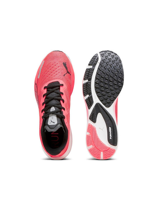 Velocity Nitro 2 Sport Shoes Running Black