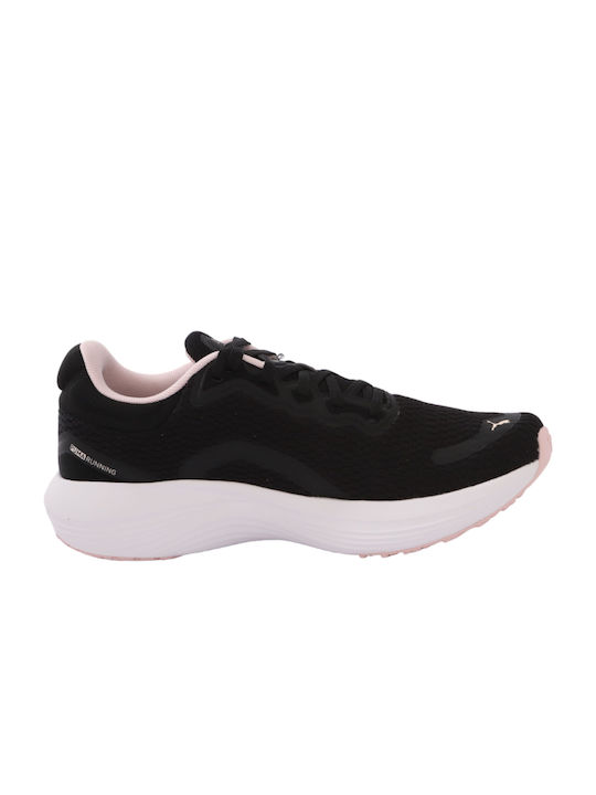 Scend Pro Sport Shoes Running Black