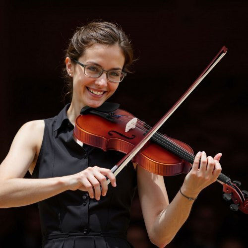 Vevor Violin 4/4