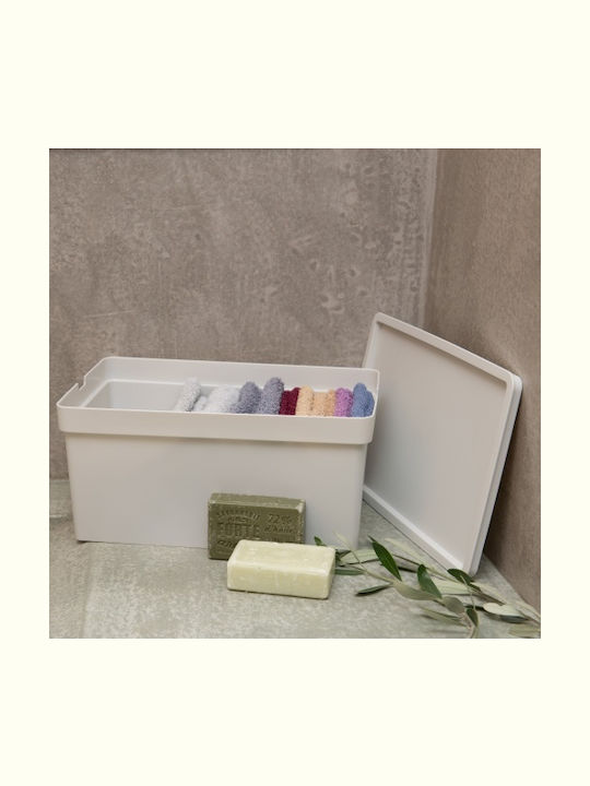 Viomes Nova Plastic Storage Box with Lid Transparent 5x26cm 1pcs