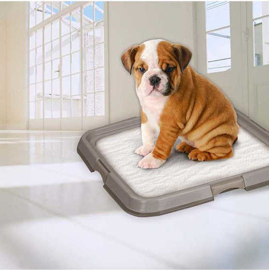 Pawise Pee Pad Tray Training Toilet Dog 60x60cm 1pcs