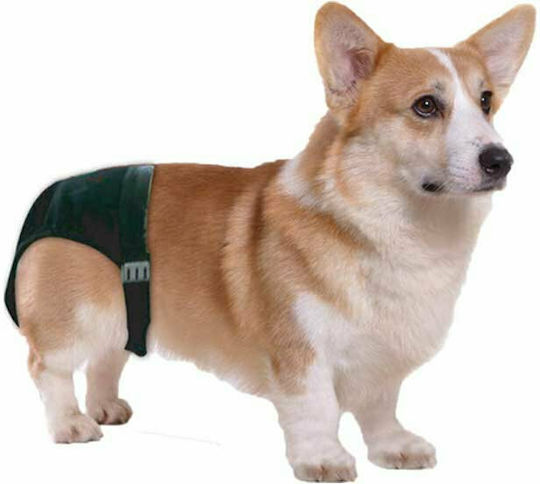 Pawise Sanitary Pants Hundewindeln XLarge 50 - 59cm 1Stück