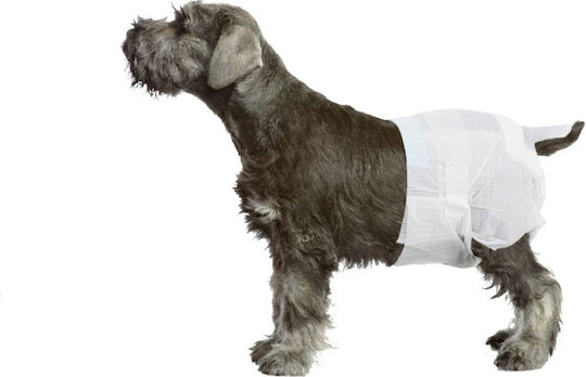 Camon Dog's Nappy Пелени за кучета Голям 45-55см. 12бр Large 45см 12бр