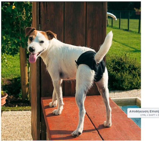 Ferplast Culotte Hygienic Пелени за кучета Хигиена Голямо 53-59см Large 53см 1бр