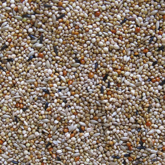 Deli Nature Premium Birds Food for Paradisaea Birds 1кг