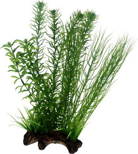 Hobby Aquaristik Flora Root 2 Διακοσμητικό Τεχνητό Φυτό Ενυδρείου 17cm