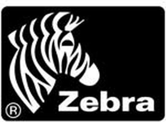 Zebra Αυτοκόλλητες Ετικέτες σε Ρολό 12τμχ