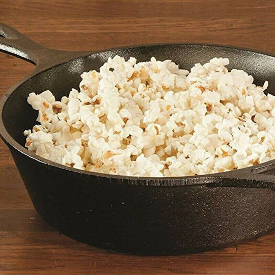 Lodge Pan made of Cast Iron 26cm