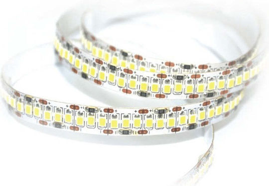 Vito LED Strip 12V Cold White Light 5m Type SMD2835