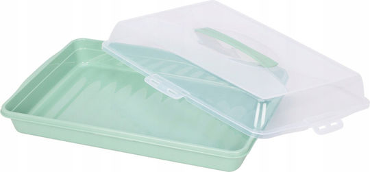 Excellent Houseware Pătrat Tavă de Servire în Culoare Verde 44x31x10cm 1buc