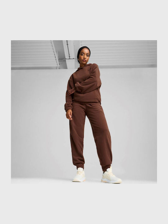 Elevated Winterized Hanorac pentru femei Cu glugă Brown