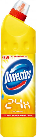 Domestos Flüssigreiniger Toilette 750ml