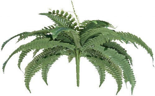 Artificial Decorative Branch Fern Green 25cm 2pcs Vevor
