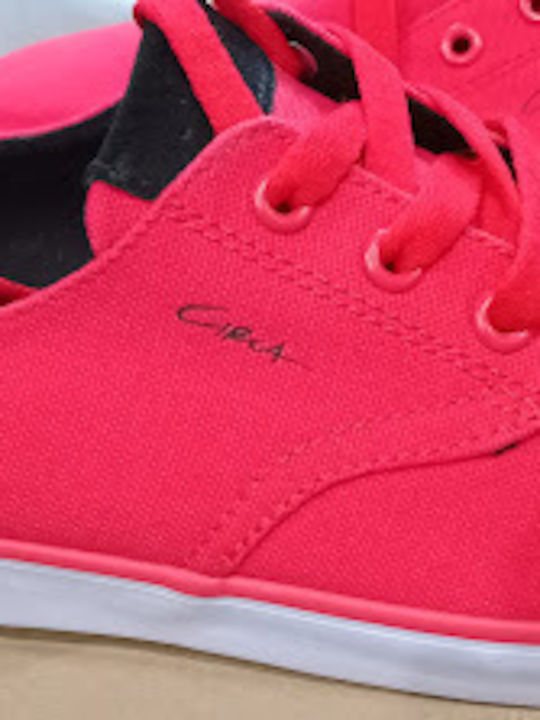 Harvey Sneakers Red / Black / White
