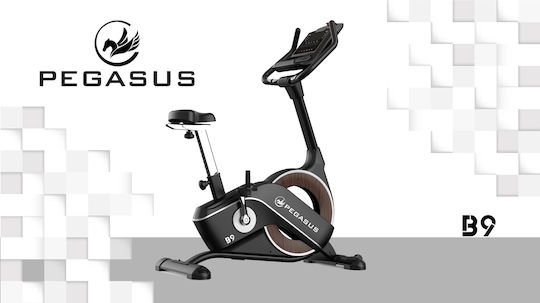 Pegasus B9 Bicicletă de exerciții în picioare Magnetic cu roți