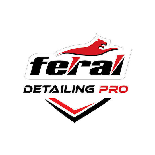 Βούρτσα Καθαρισμού Ζάντες Μικροϊνες Detailing Pro Feral 44.5x7.5cm 1 Τεμάχιο Universal Fεrαl