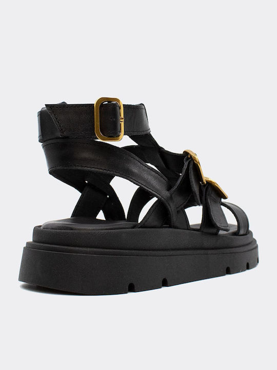 Platforme Dama Negre