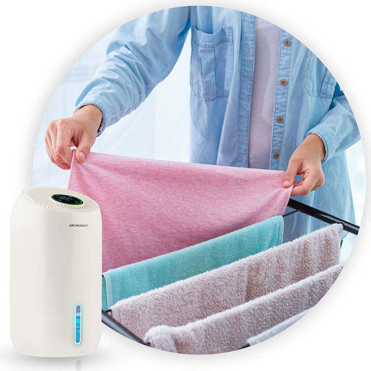 Berdsen Absorbant de umiditate BD-529