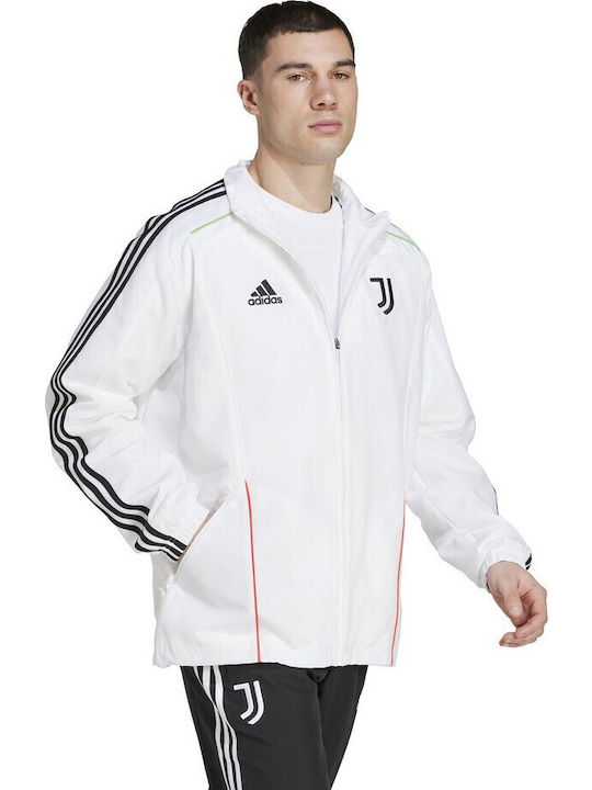 JUVE UBP TT Ζακέτα Λευκό