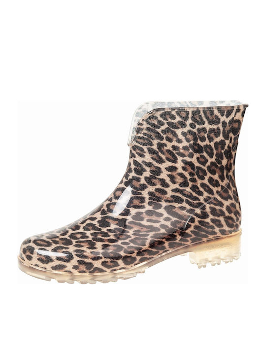 Adam's Shoes