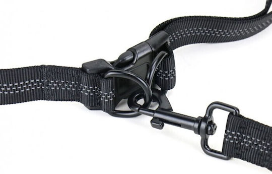 K9 Evolution Waist Belt Running Dog Leash Lead Jogging Set Compact