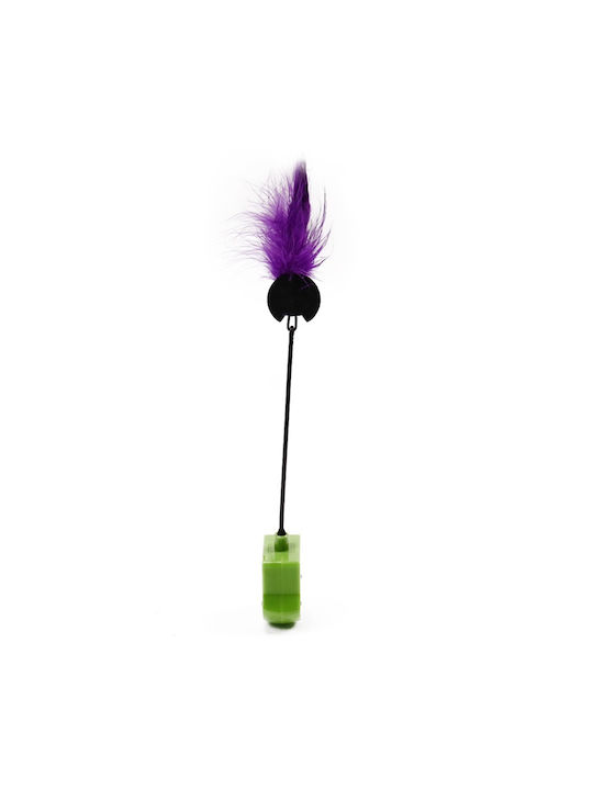 Cat Ball Feather Colorful