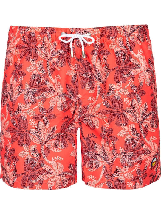 Cayos Swim Cayos Swim Cayos Swim Cayos Swim
