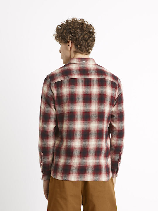 Celio Celio