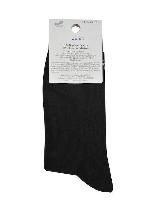 Dream Socks Women's Patterned Socks Blue