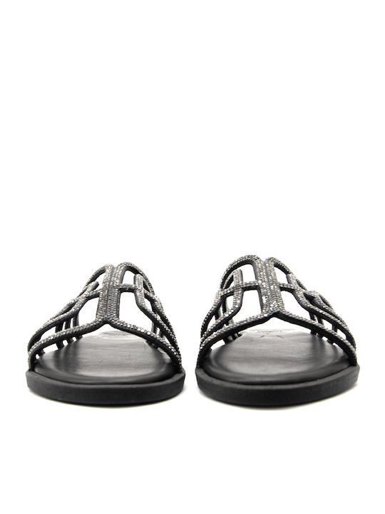 Bacali Collection