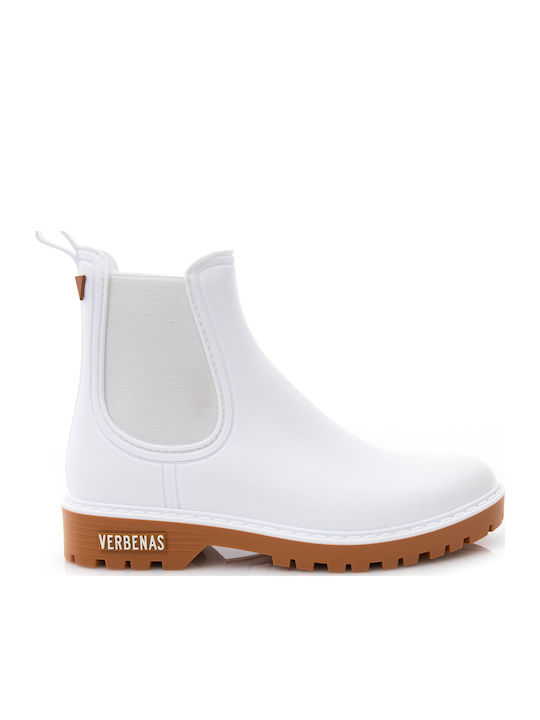 Verbenas