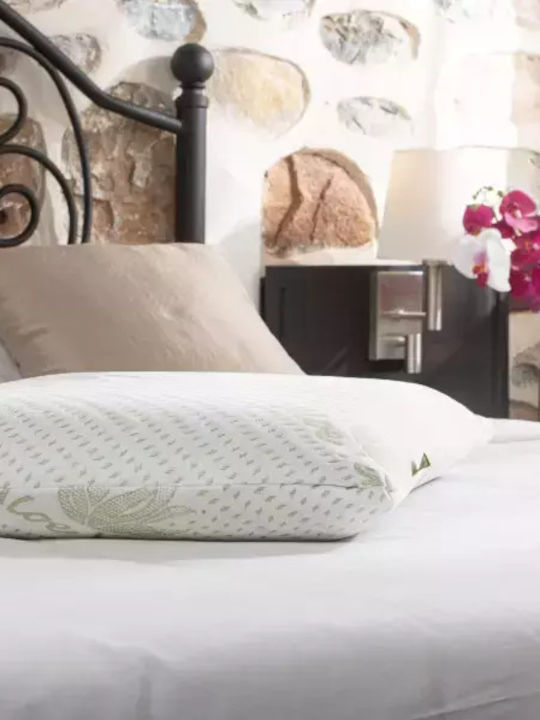 Alpha Foam Classic Aloe Vera Anatomic Memory Foam Bed Pillow 45x65x14cm