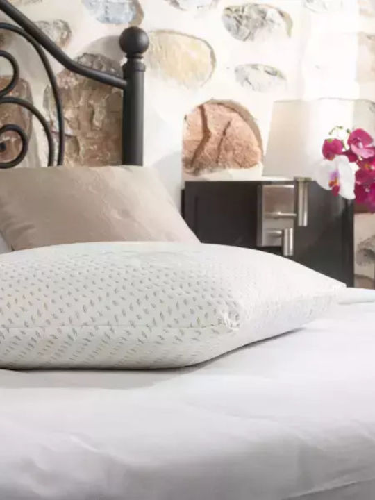 Alpha Foam Classic Aloe Vera Anatomic Memory Foam Bed Pillow 45x65x10cm