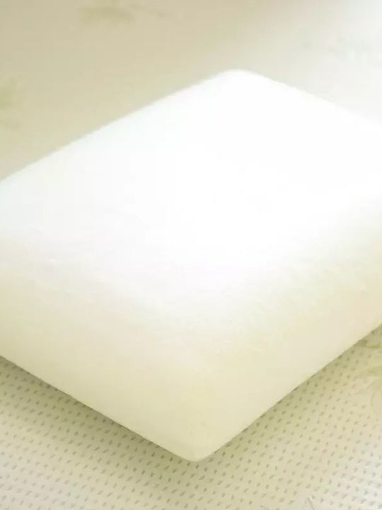Alpha Foam Classic Aloe Vera Anatomic Memory Foam Bed Pillow 45x65x14cm
