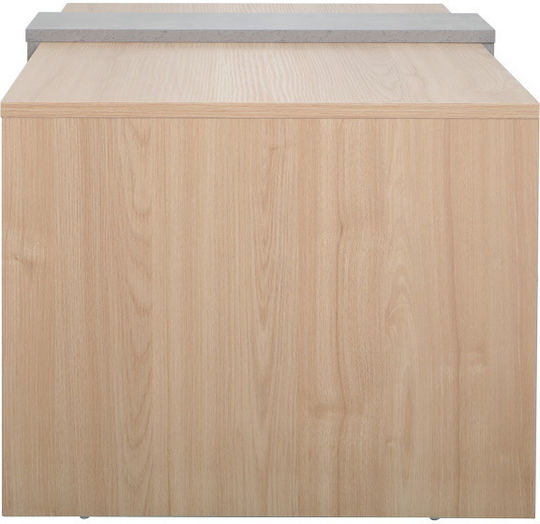 Rectangular Central Coffee Table Cozeto from Solid Wood Natural with Grey W100xD53xH41.5cm