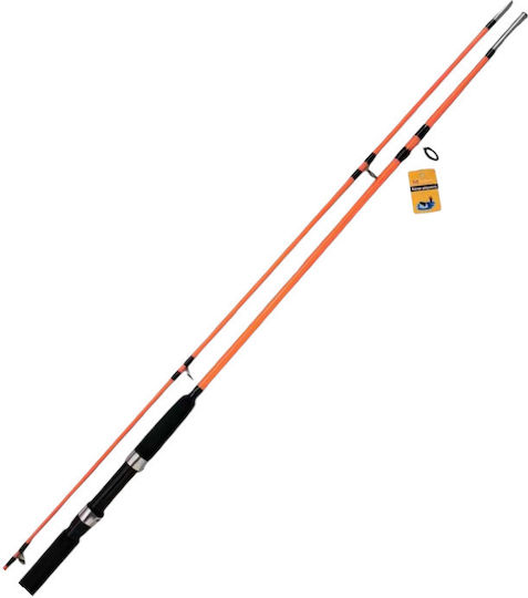 Lanseta de pescuit 2.1m 100-250gr