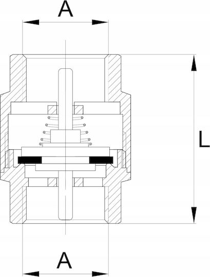 Brass Check Valve 1 Inch
