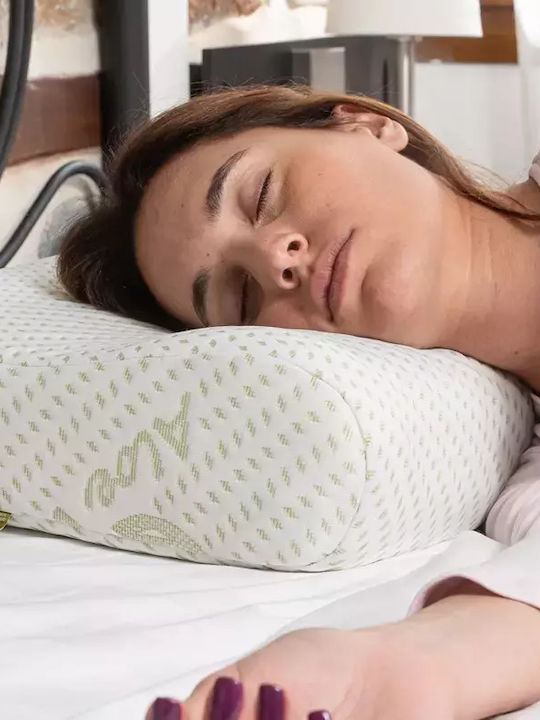 Alpha Foam Deluxe Aloe Vera Anatomic Memory Foam Bed Pillow