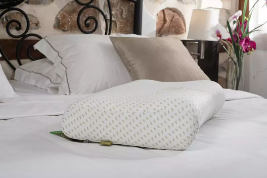 Alpha Foam Smile Aloe Vera Μαξιλάρι Ύπνου Memory Foam Ανατομικό 36x60x13cm