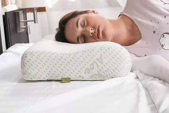 Alpha Foam Elegant Aloe Vera Bed Pillow Memory Foam Anatomic 38x55x12cm