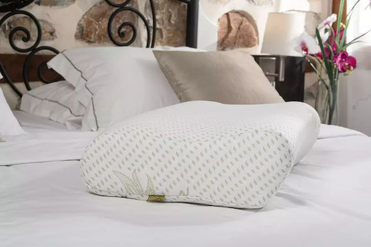 Alpha Foam Smile Aloe Vera Μαξιλάρι Ύπνου Memory Foam Ανατομικό 36x60x13cm